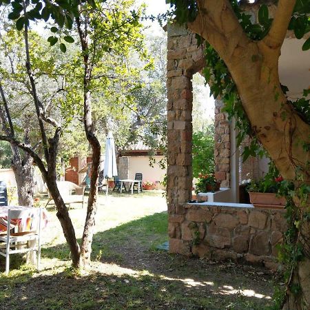 Вілла Pedras House Holidays Санта-Марія-Наваррезе Екстер'єр фото